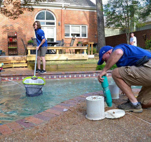 Custom Swimming Pool Builders Memphis TN, Germantown, Collierville