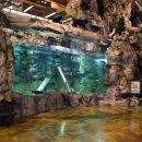 Bass Pro aquarium fish tank